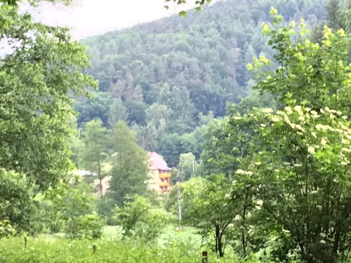 Dörnbachshöhe und das Waldbachtal um Watterbach