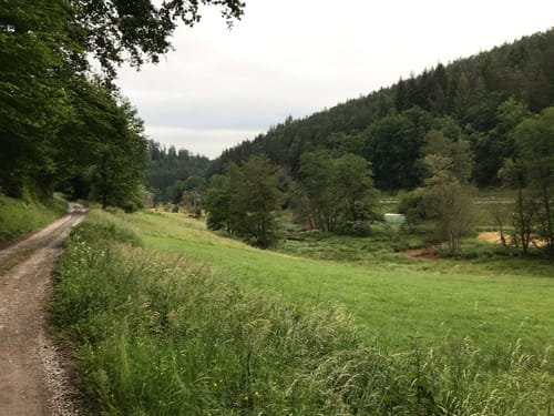 Dörnbachshöhe und das Waldbachtal um Watterbach