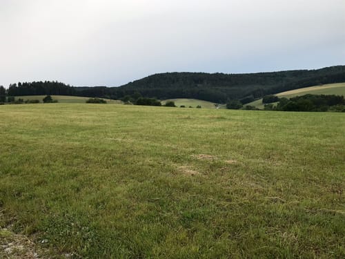 Dörnbachshöhe und das Waldbachtal um Watterbach