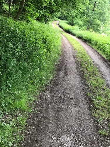 Dörnbachshöhe und das Waldbachtal um Watterbach