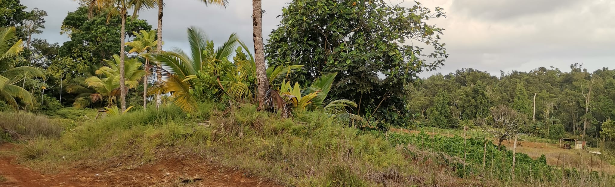 Traces Merwart and Victor Hugues, Windward Coast 14 Zdjęcia Basse