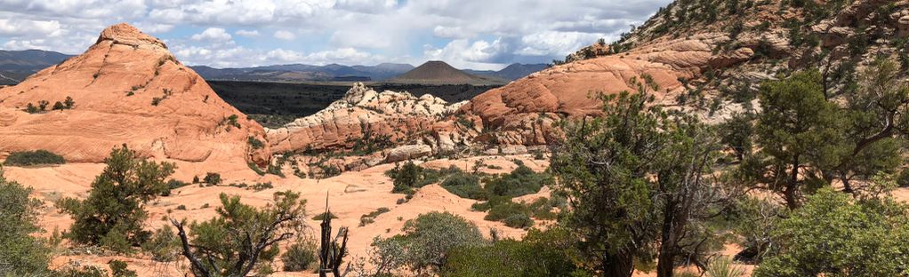 are dogs allowed at gunlock state park