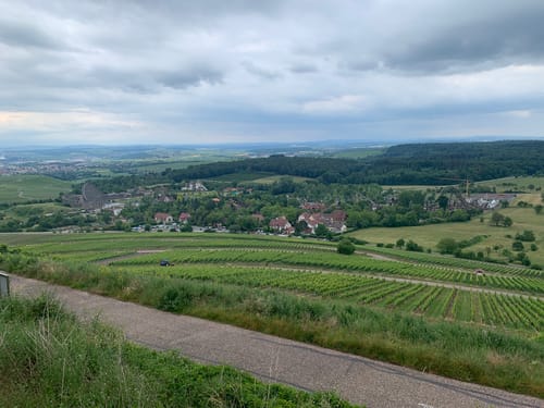 Lemberger Tour Bönnigheim