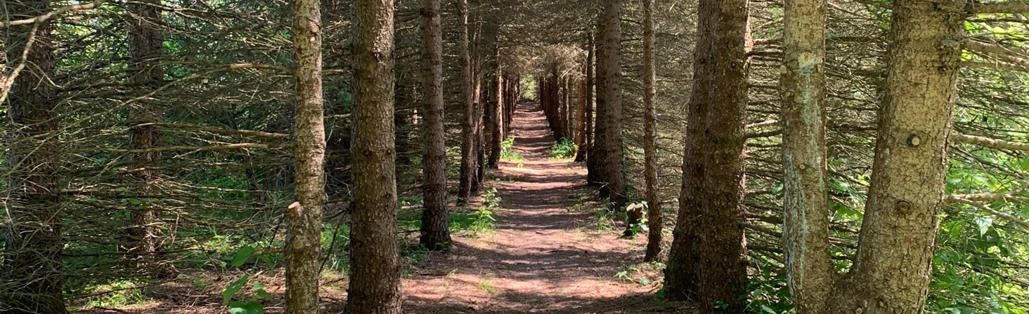 Ziegler Preserve and Gardner Spencer Preserve Loop, Pennsylvania 238