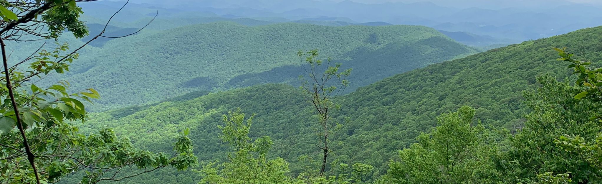 Appalachian Trail: Tray Gap To Dick's Creek Gap, Georgia - 157 Reviews ...