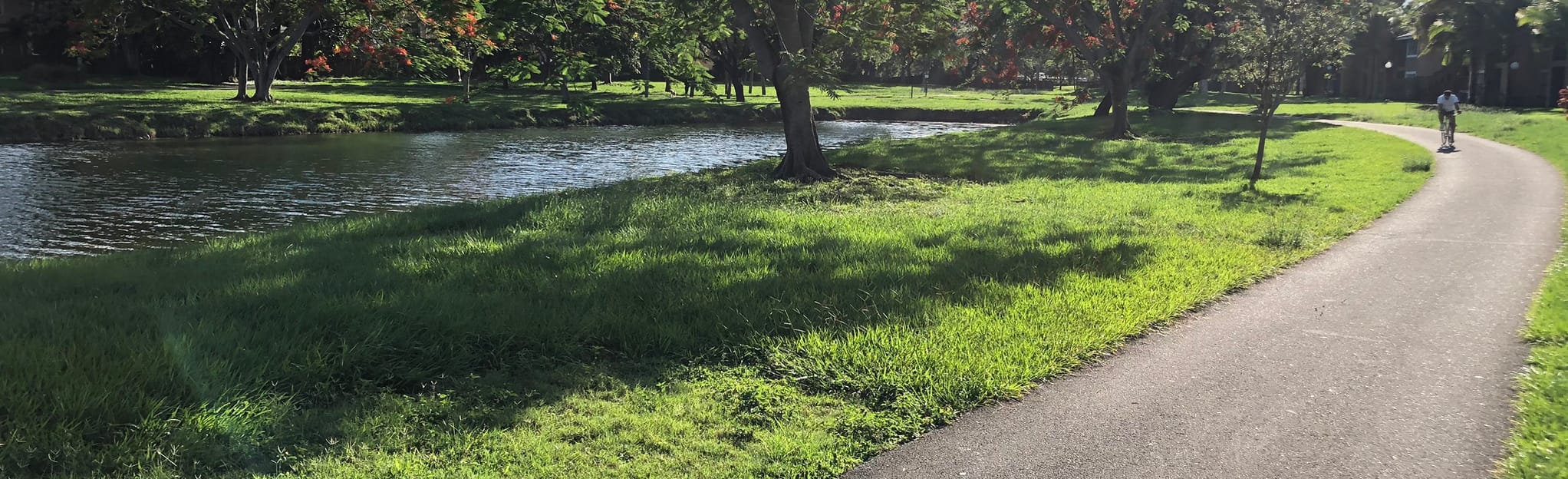 Hammocks Lakes Loop, Florida 319 Reviews, Map AllTrails