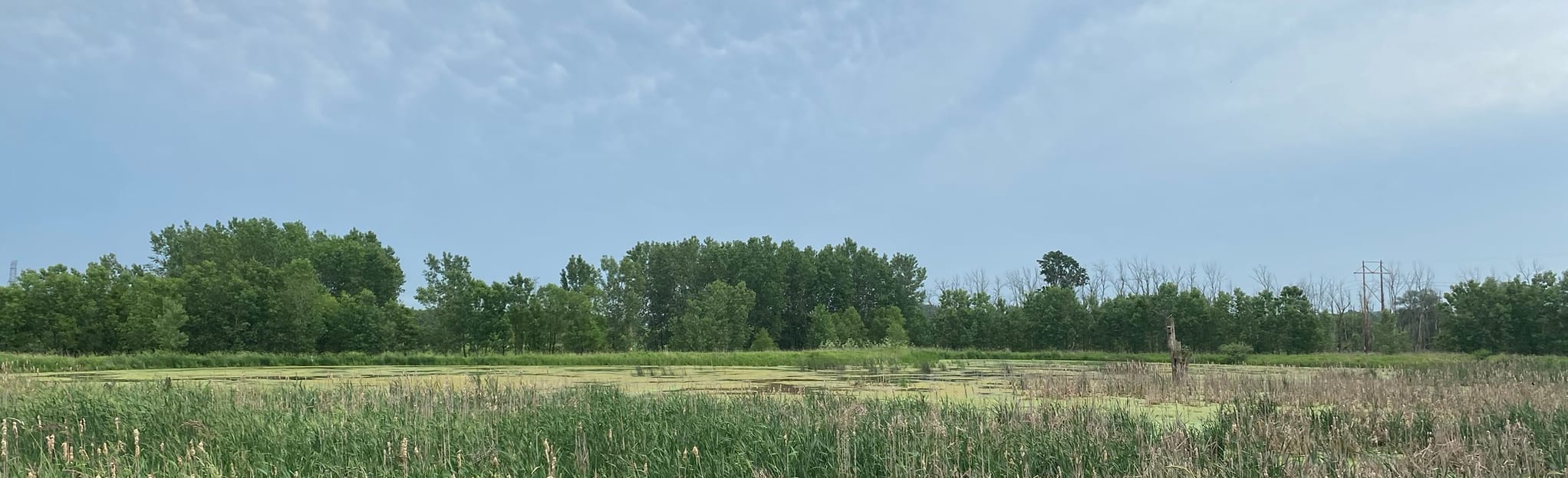 Upper Macatawa Mountain Bike Trails Mapa, Roteiro Michigan AllTrails