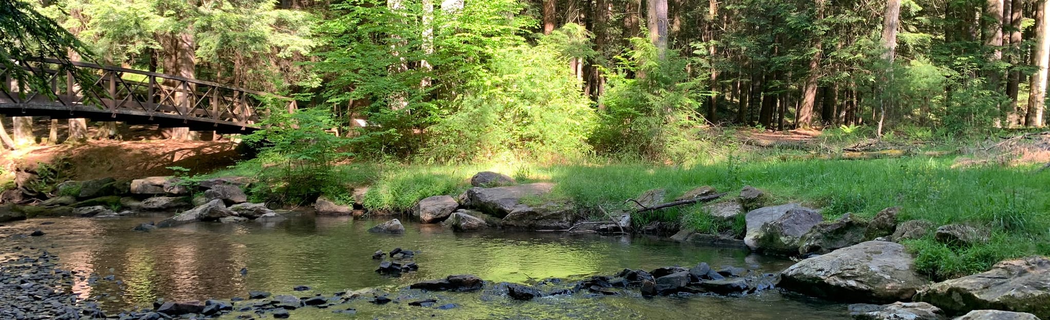 Forest Cathedral Trail Map, Guide Pennsylvania AllTrails