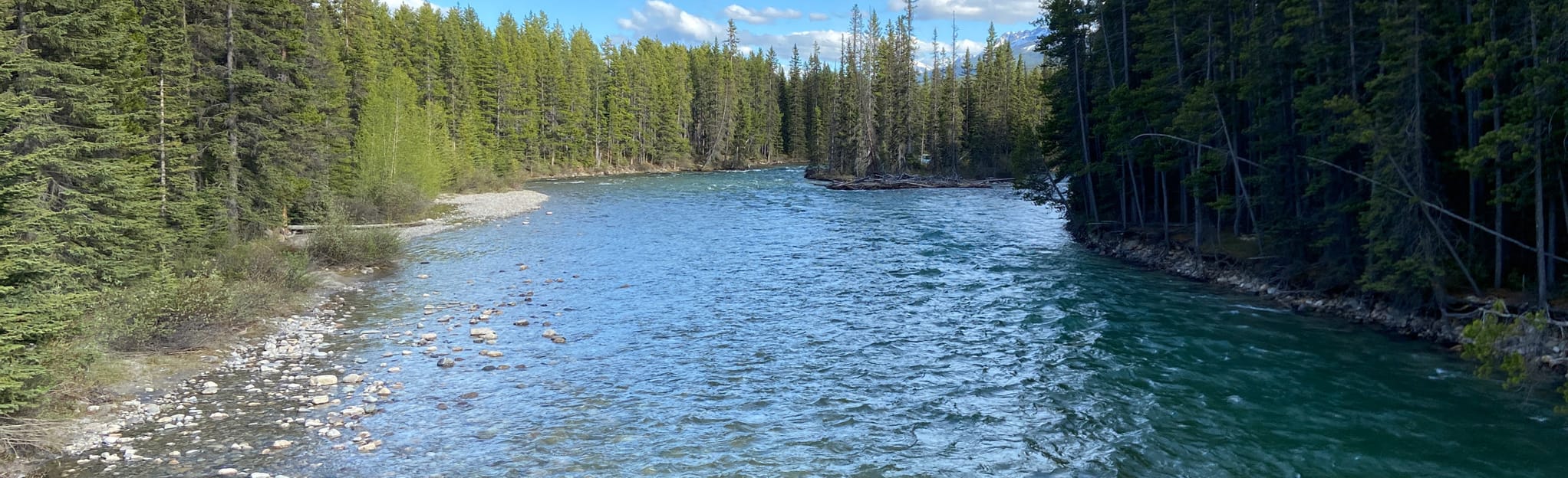 Lake Louise Campground Loop, Alberta, Canada 23 Reviews, Map AllTrails