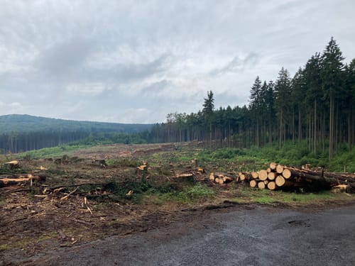 Köppelweg 2