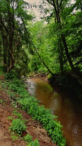 Maßweilerer Keltenpfad