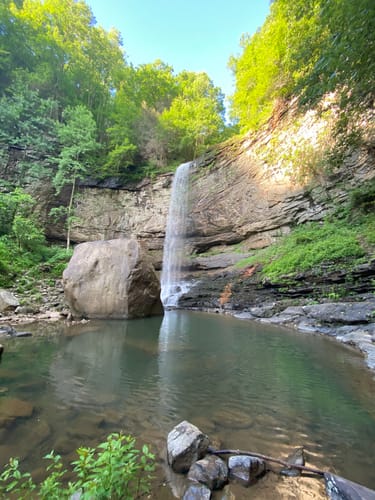 Cloudland Canyon Hiking Trails Best 10 Trails In Cloudland Canyon State Park | Alltrails