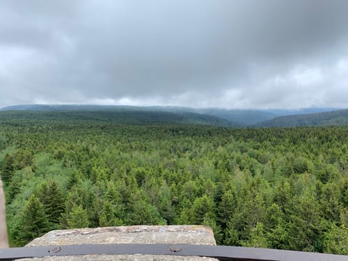Hochmoor Kaltenbronn
