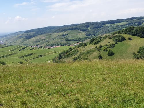 Riegel am Kaiserstuhl
