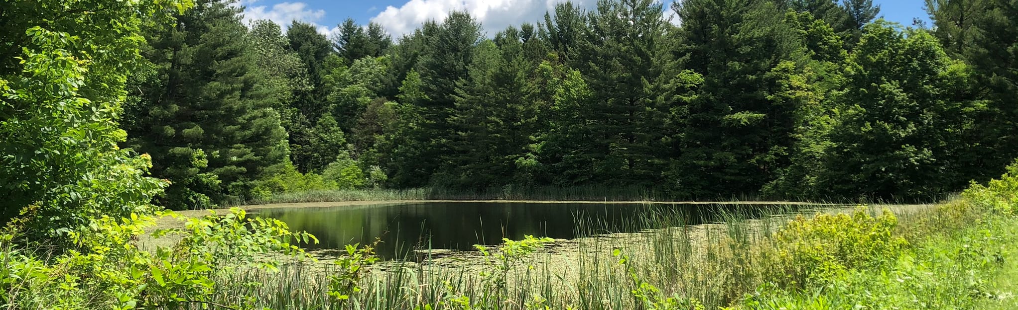 Picnic Trail 39 Reviews, Map Ohio AllTrails