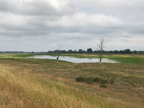 Reitwein - Gartz - Oderradtour