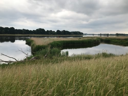 Reitwein - Gartz - Oderradtour