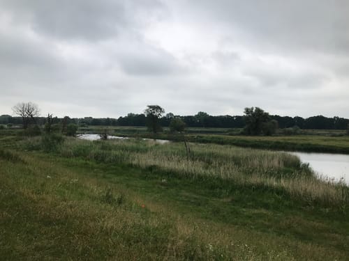 Reitwein - Gartz - Oderradtour