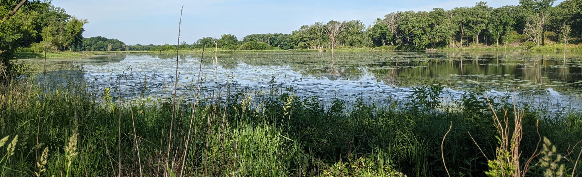 Murphy Lake to Minnregs Lake Trail, Minnesota 135 Reviews, Map