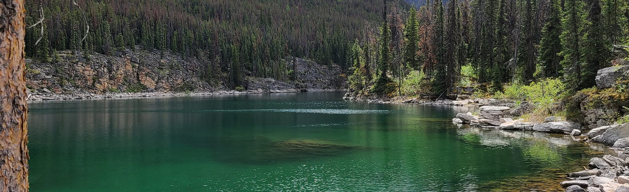 Horseshoe Lake, Alberta, Canada 369 Reviews, Map AllTrails