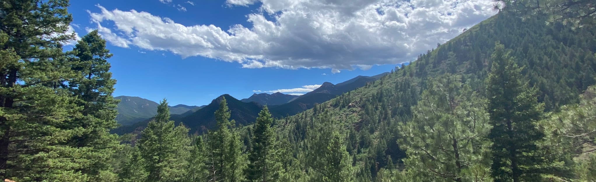 Buckhorn, Captain Jacks, and Gold Camp Road Loop 210 Reviews, Map