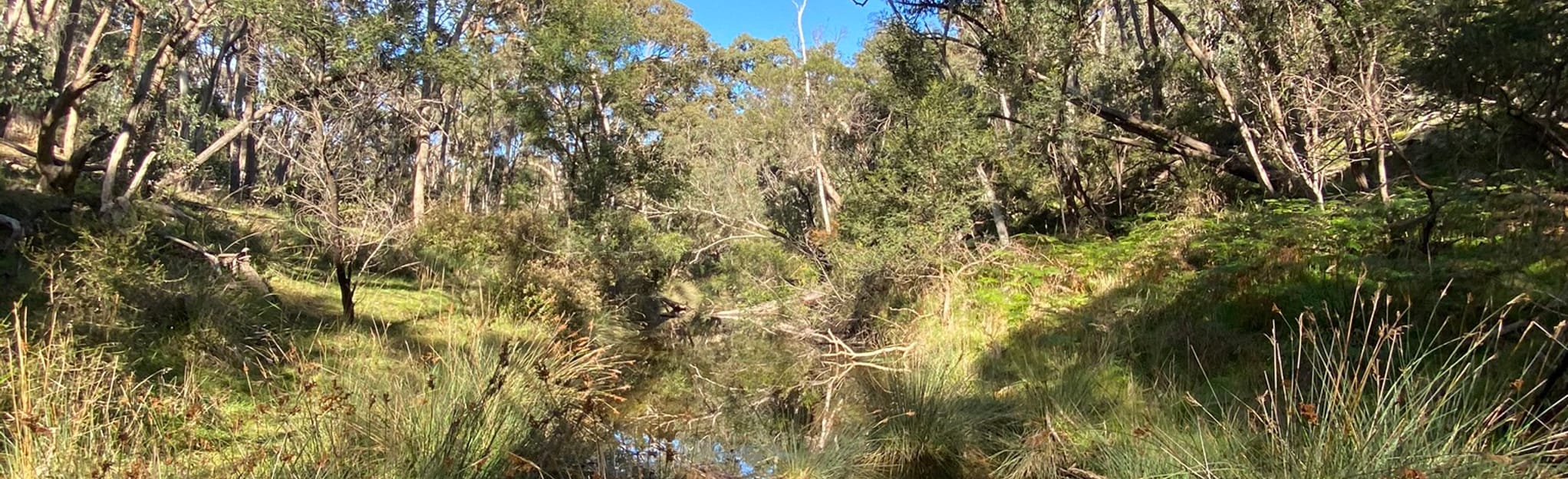 Steiglitz to The Crossing, Victoria, Australia 27 Reviews, Map