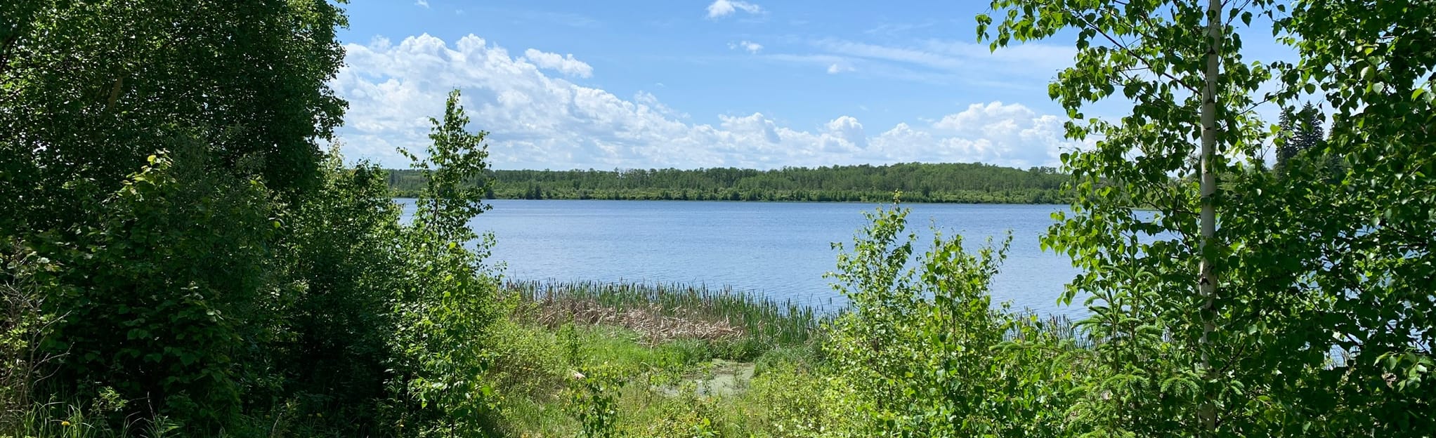 Islet Lake and Lost Lake 112 Reviews, Map Alberta, Canada AllTrails