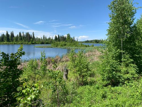 2023 Best 10 Bird Watching Trails in Cooking Lake/Blackfoot Provincial ...