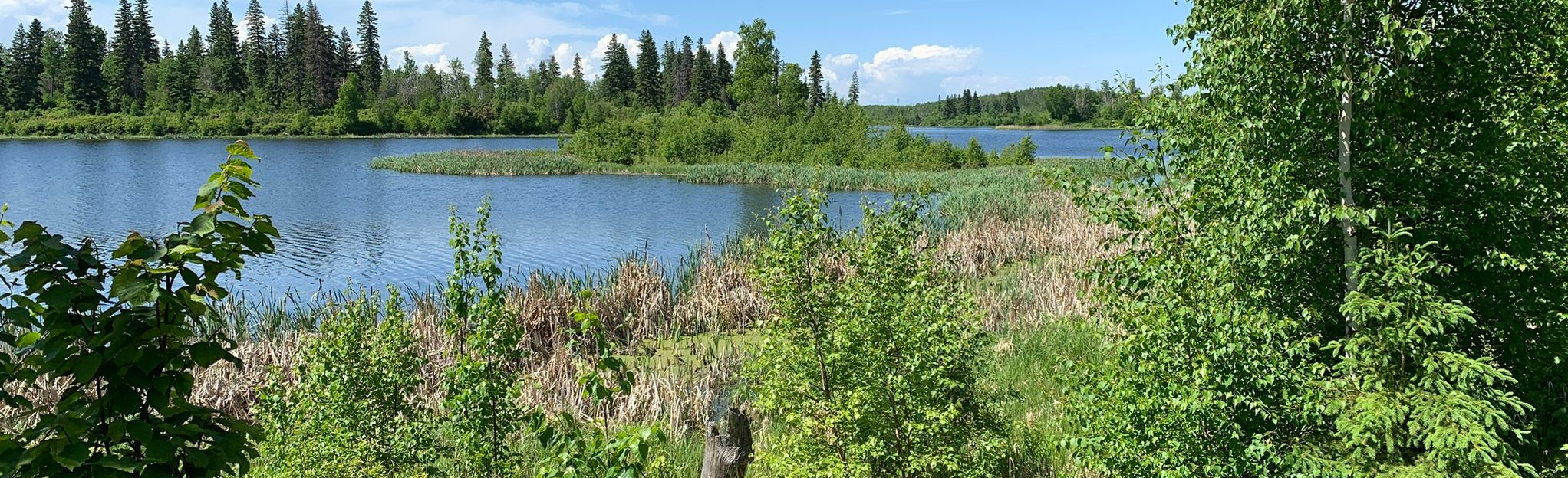 highline-to-middle-trail-loop-alberta-canada-60-reviews-map