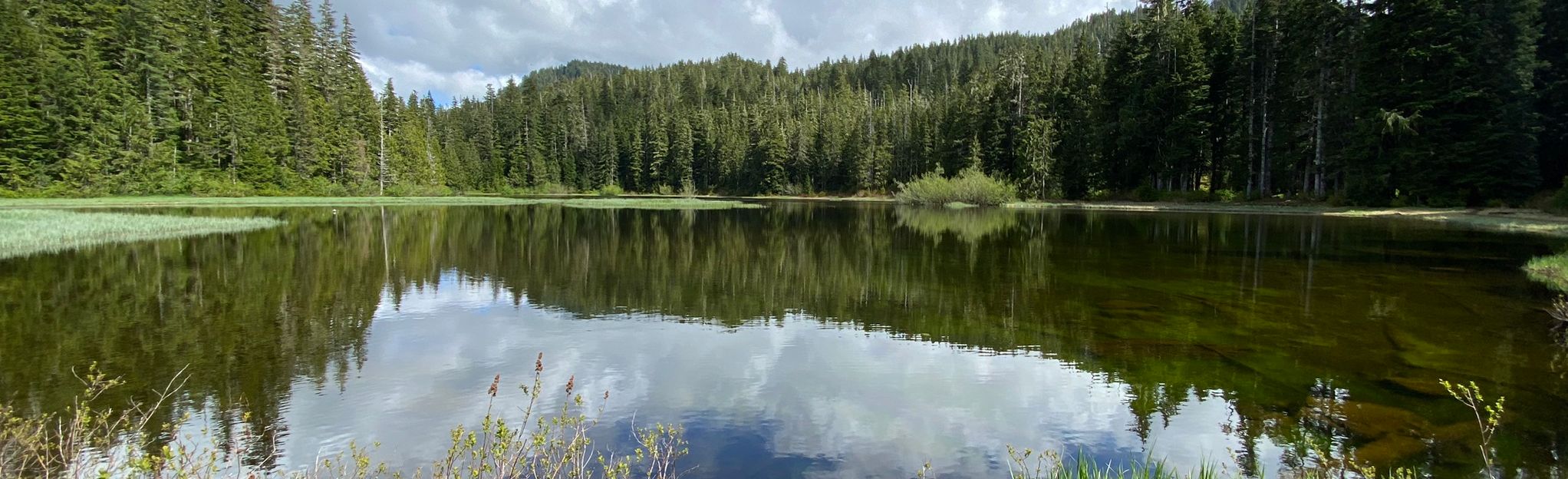 Mink Lake, Washington - 144 Reviews, Map | AllTrails