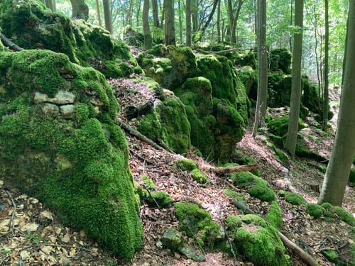 1000-Meter-Höhenweg Pommelsbrunn