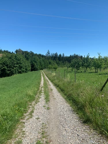 Rund um den Argenzusammenfluss