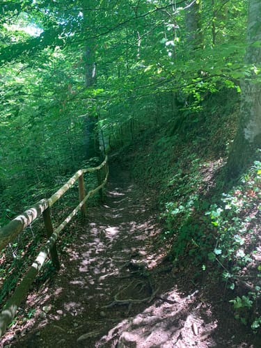 Tettnanger Wald und Arger
