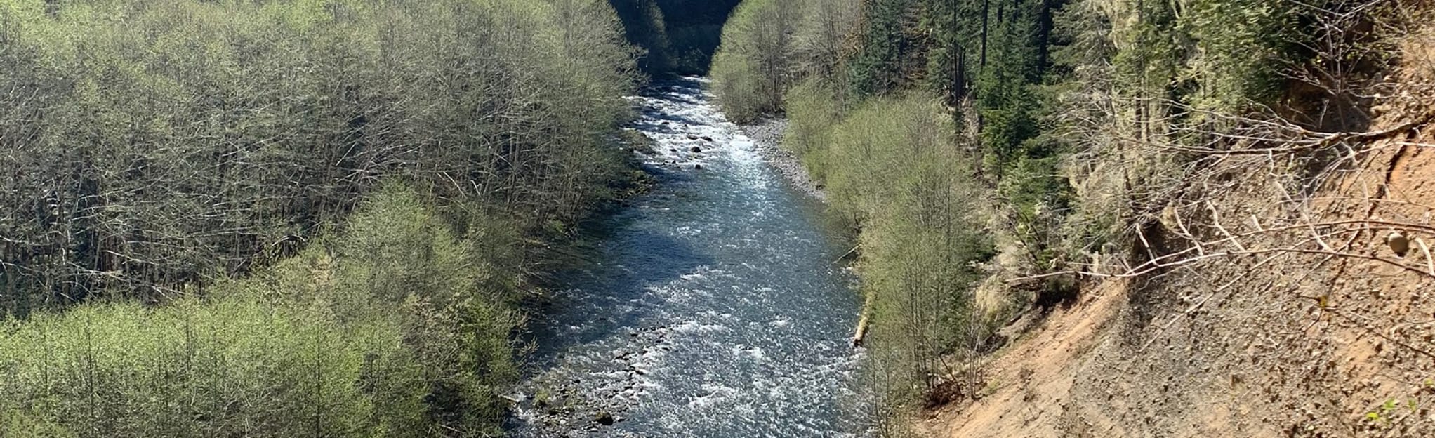 Lake Constance Trail, Washington 185 Reviews, Map AllTrails