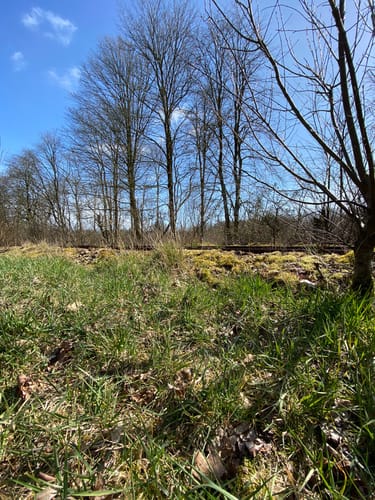 DVV Wandern - Durch das Urstromtal der Wallsbek