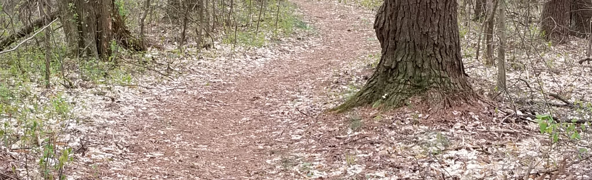 Kyana Trail 24 Reviews, Map Indiana AllTrails