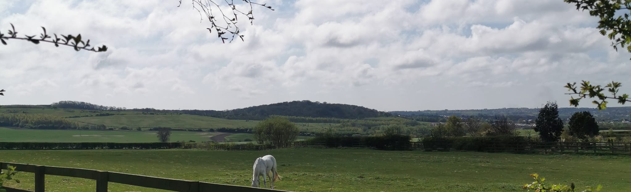 Coxhoe, Town Kelloe, Quarrington Hill and Old Quarrington Circular 4
