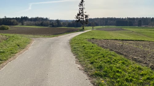 Wald Trimm-Dich-Pfad - Rothenlachen