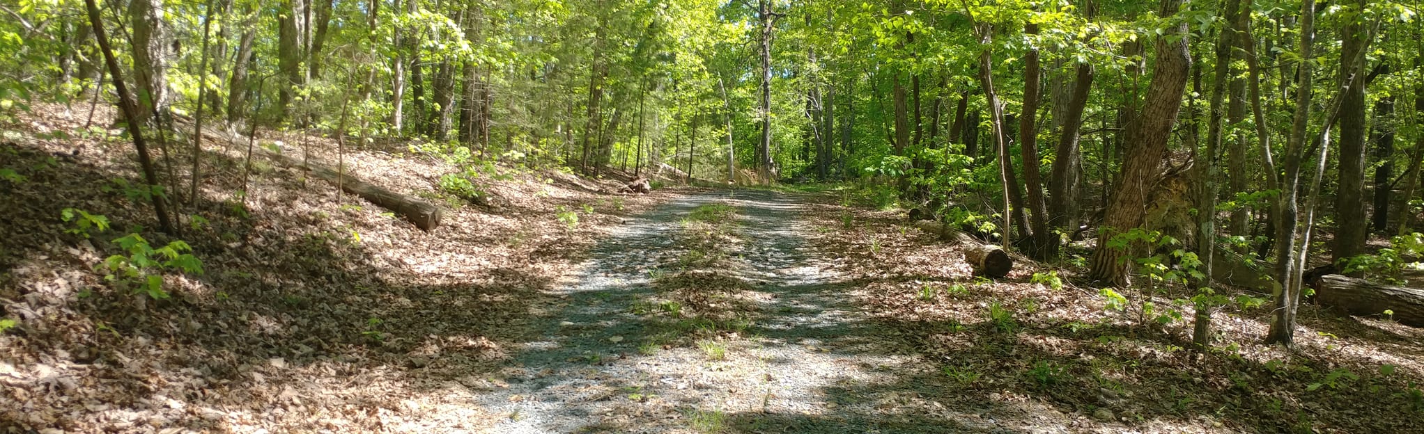 Uwharrie Trail Tower Road to West Morris Mountain Campground 108