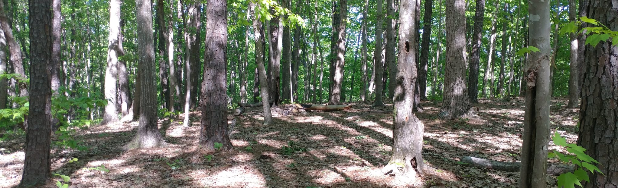 West Morris Mountain Campground 20 Reviews, Map North Carolina