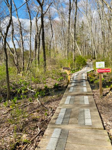 2023-best-kid-friendly-trails-in-seekonk-alltrails