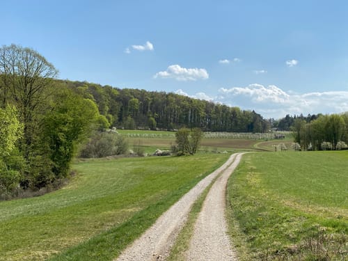 Reisberg ab Leutenbach