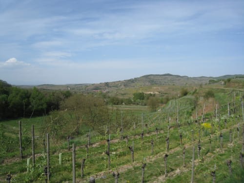 Heitersheim - Keppenbach Rundfahrt