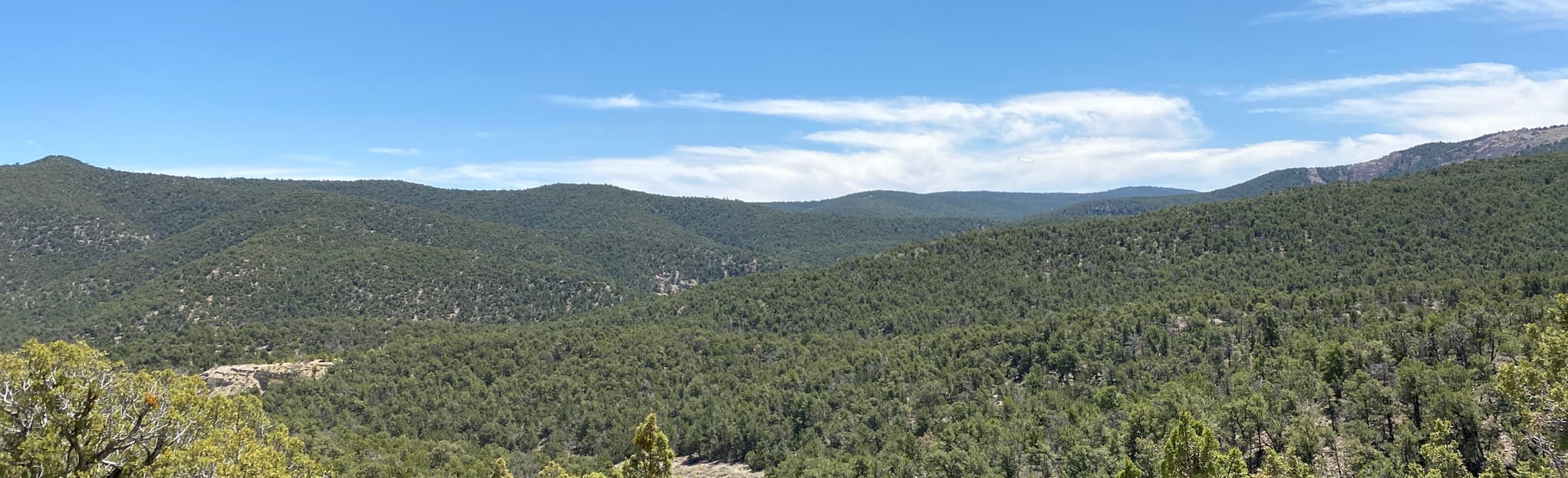 Tijeras Loop, New Mexico 61 Reviews, Map AllTrails