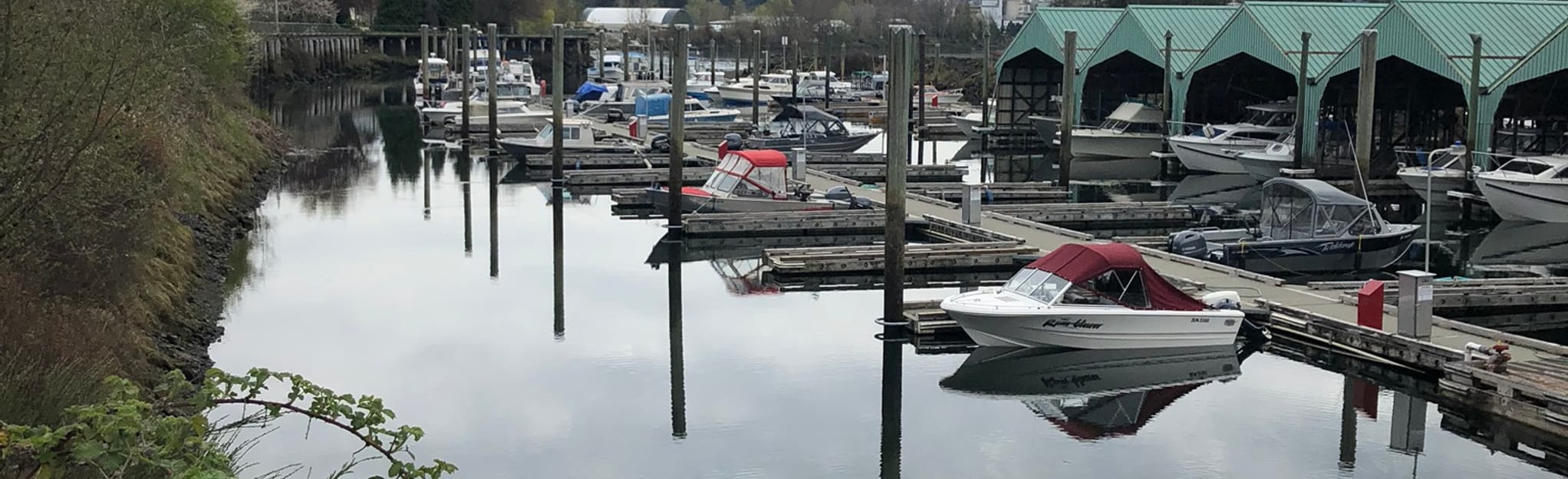 River Road Dike Trail 93 Reviews, Map British Columbia, Canada