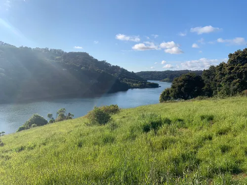 Best Mountain Biking Trails in Lake Chabot Regional Park AllTrails