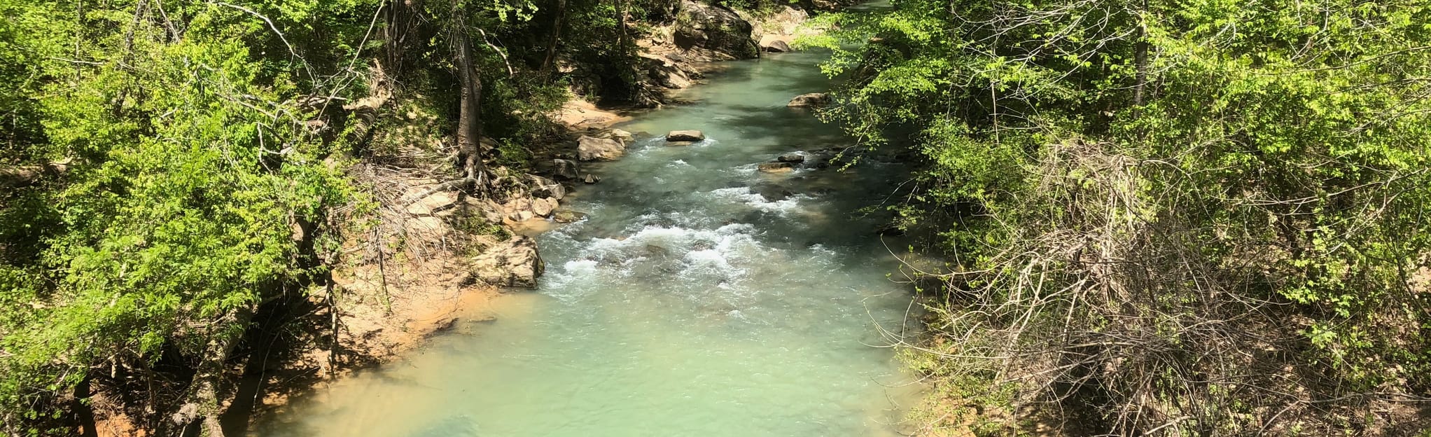 Borden Creek Wild Hiking Trail via Bunyan Hill Road trail 125 Reviews