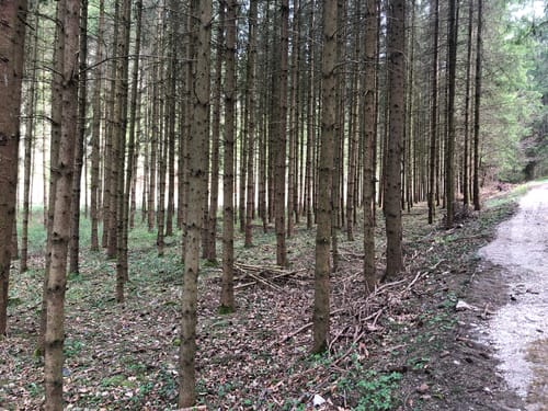 Standeslohweg