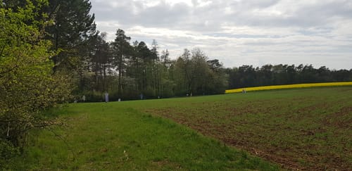 Um Hallenknopf und Mandelberg