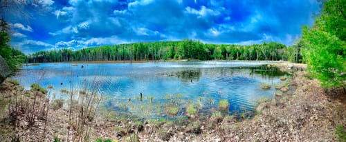 Pawtuckaway State Park Hiking Best 10 Trails In Pawtuckaway State Park | Alltrails